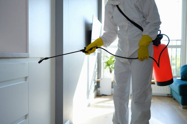 Best Air Quality Testing for Mold Spores  in Jackson, MN